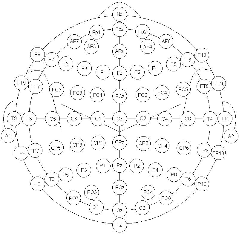 Mind Mirror Contact Placement